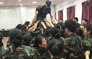 單槍匹馬難跨越，百人抱團筑長城！